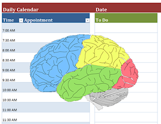 brain and calendar